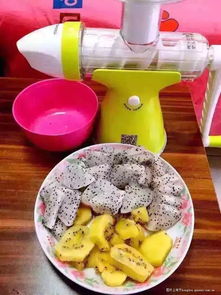 果語榨汁機(jī)廠家直銷 享受正品批發(fā)價格，輕松制作健康蔬菜汁